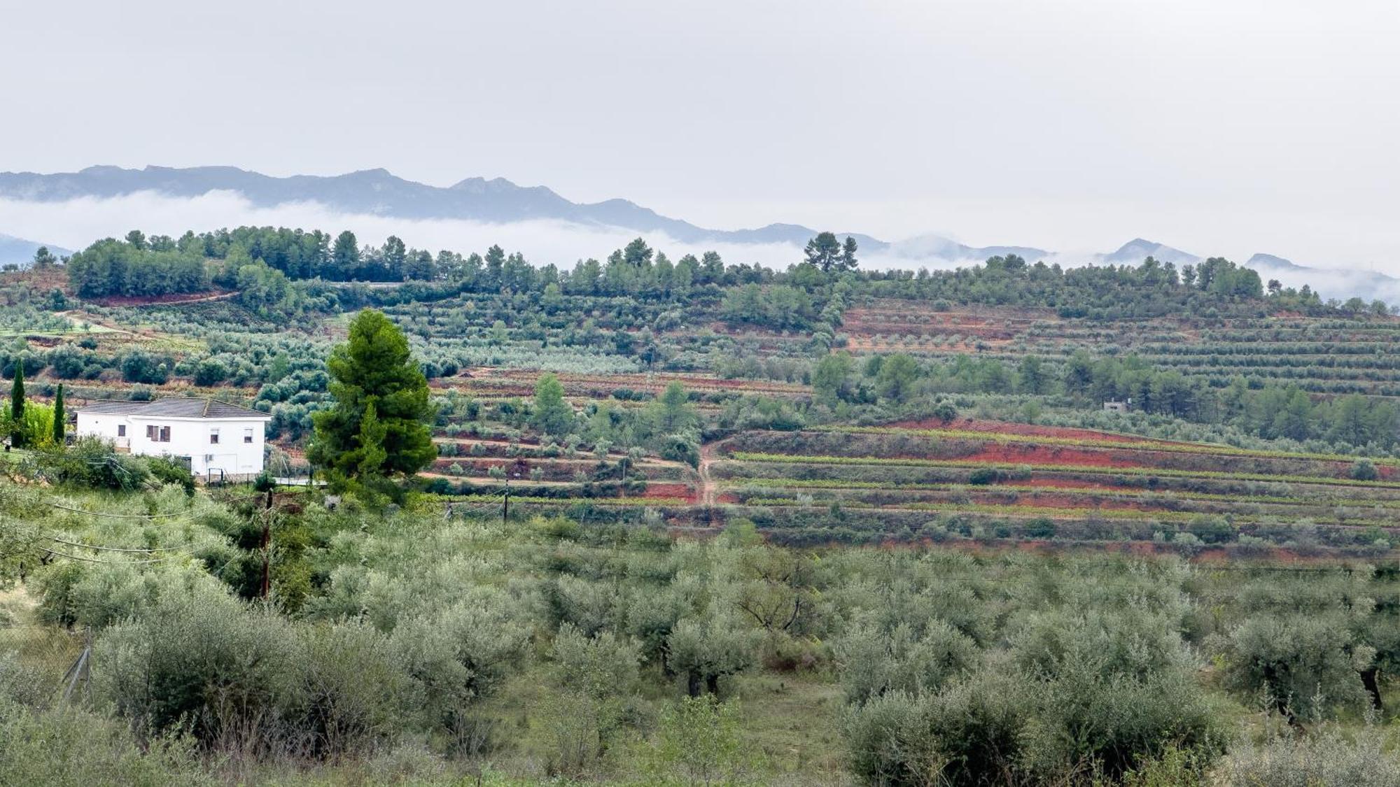 Apartamento Camins Del Priorat Ermita Sant Pau El Masroig Exterior foto